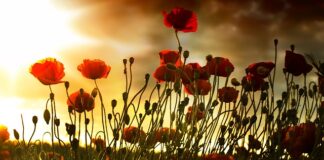 atrakcje turystyczne Polski