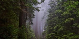 Parki Narodowe Małopolska