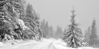 Ferie atrakcje dla dzieci