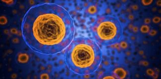 objawy bakteryjnego zapalenia pochwy