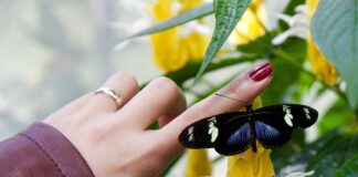 Jakie są korzyści regularnego używania pilnika do paznokci?