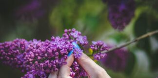 6. Oliwki do paznokci a dieta – jakie produkty wpływają na ich kondycję?