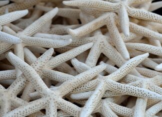 Czy kolektory słoneczne to to samo co panele fotowoltaiczne?