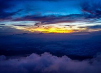 Jaki uchwyt do wiertarki WS 15?