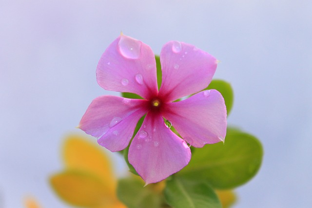 Jak kłaść kable? Jak kłaść kable?