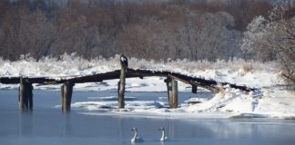 Jaki przekrój przewodu do instalacji samochodowej?