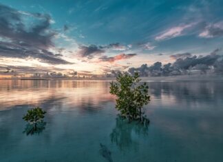 Jak przykryć narożnik kocem?