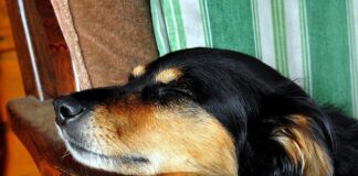 Co to jest futerko do wiertarki?