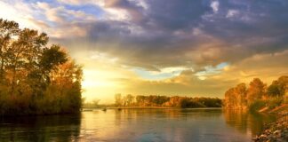 Jakimi kluczami możemy ściągnąć koło z samochodu?