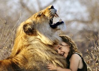 Co jest lepsze puch czy pierze?