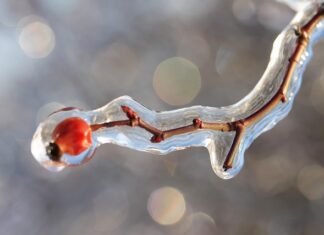 Co znaczy zamknięta kłódka?