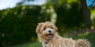 Dlaczego w upały chce się spać?