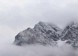 Czy przewód neutralny to minus?
