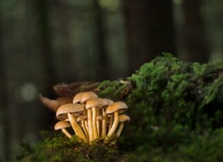 Jakie listwy startowe do styropianu 20 cm?