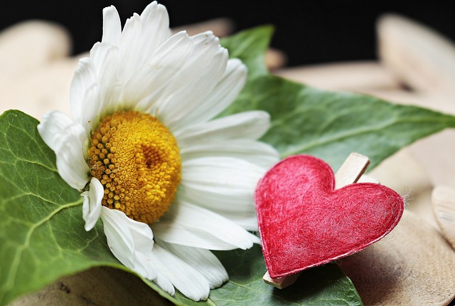 Jak sprawdzić czy zacisk hamulcowy jest sprawny? Jak sprawdzić czy zacisk hamulcowy jest sprawny?