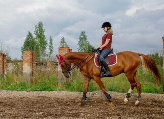 Kiedy kojec dla dziecka?