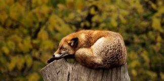 Czy spanie w jednym łóżku z chłopakiem to grzech ciężki?