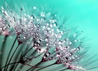 Co to znaczy Detailing?