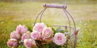 Co zamiast kosza Mojżesza?