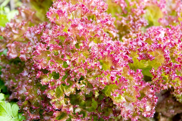 Jakiej pościeli nie kupować? Jakiej pościeli nie kupować?